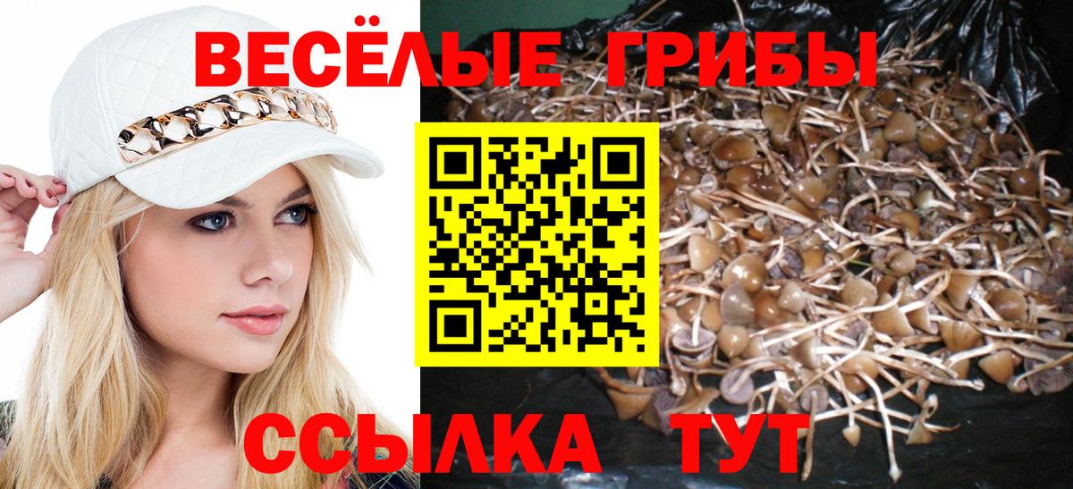 Галлюциногенные грибы GOLDEN TEACHER  Псилоцибиновые грибы Psilocybe  Вход с VPN  Заринск 